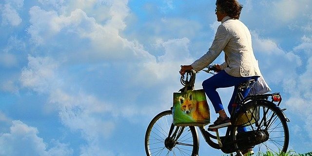 budgetfietsonderdelen